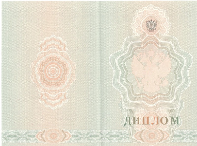 Купить Диплом о начальном образовании 2007-2009 годов в Владивостоке Купить Диплом о начальном образовании 2007-2009 годов в Владивостоке