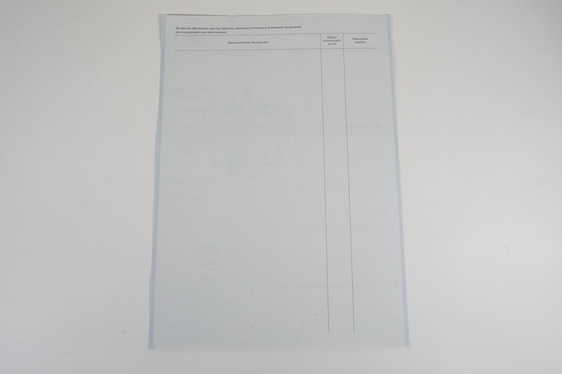 Диплом о начальном образовании 2007-2009 годов в Владивостоке Диплом о начальном образовании 2007-2009 годов в Владивостоке